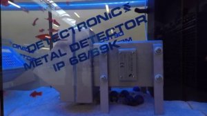 Detectronic IP 68 Metal Detector