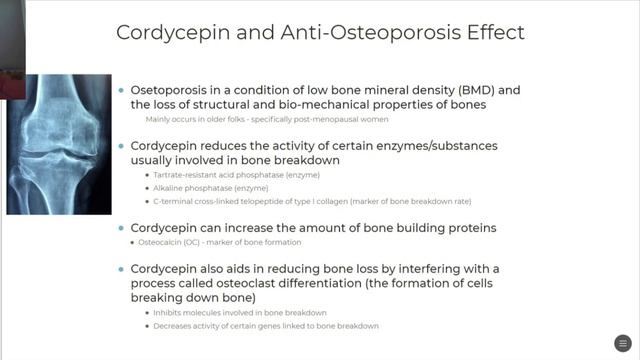 Ep1 | Cordycepin for Health and Wellbeing | Cordyceps Chronicles смотреть онлайн