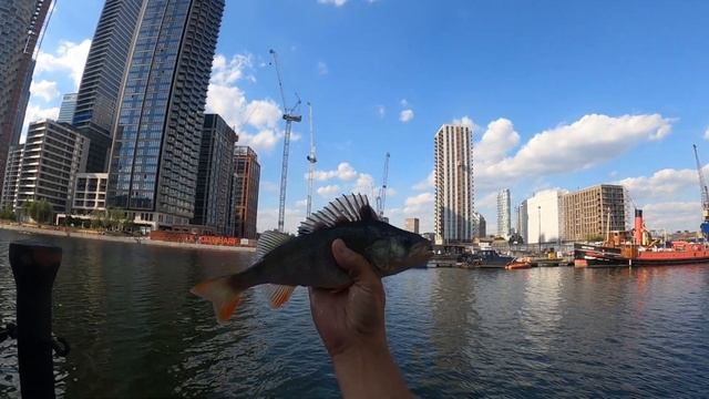 Roach Fishing With Bread - Budget Bait Episode 1 | Collaboration смотреть онлайн