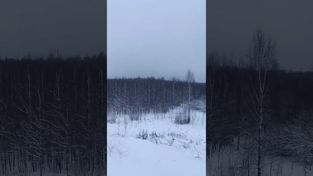 Звардэ-территория бывшего авиационного полигона. В течение 40 лет здесь отрабатывали сброс авиобомб смотреть онлайн