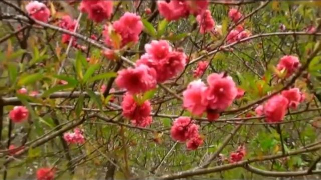 Тетяна Лавинюкова - "Час у пляшці" смотреть онлайн