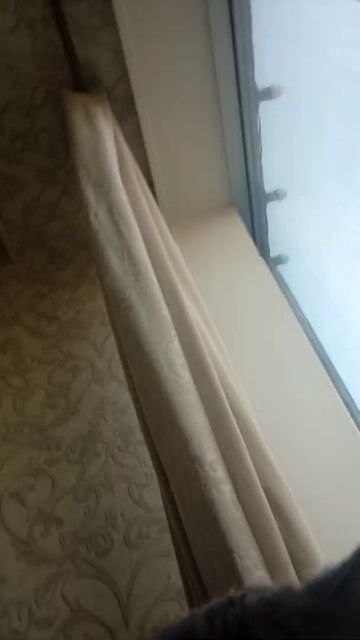 типа смотреть онлайн