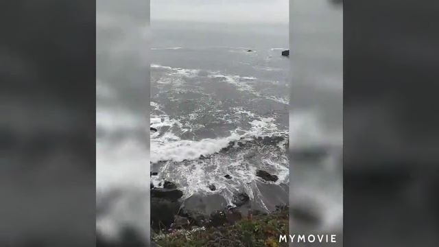Sonoma coast" California смотреть онлайн