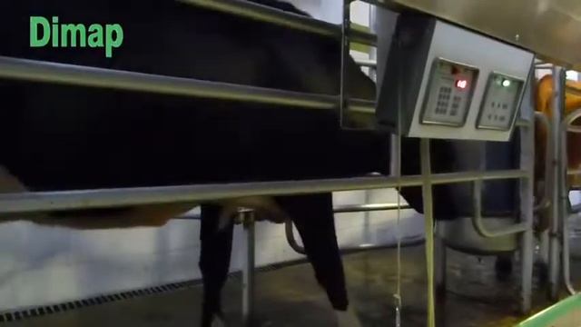 DIMAP VIDEO EMPRESARIAL смотреть онлайн
