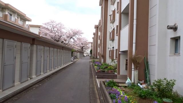 Как живут японцы в Хрущевках в Японии смотреть онлайн