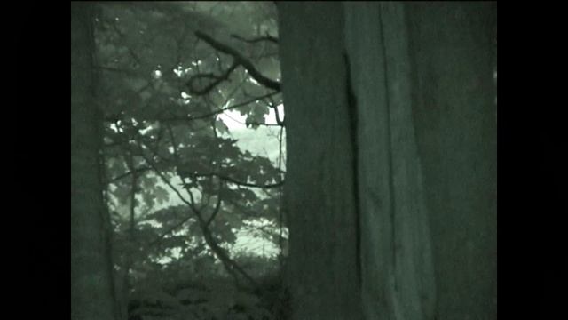 Noctules emerging 0001 смотреть онлайн