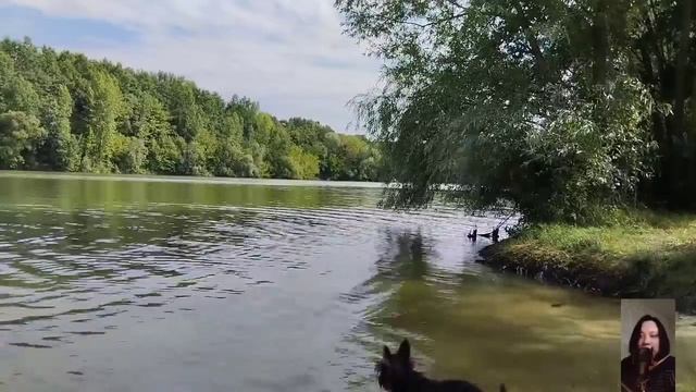 Спустившись в подвал старого дома, она обнаружила ещё одно помещение. смотреть онлайн