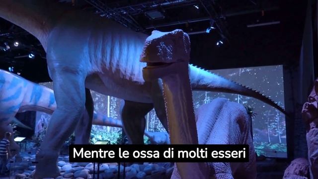 Perucetus colossus, l'animale più grande mai esistito смотреть онлайн