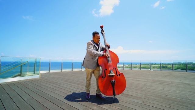 Гавана Видео