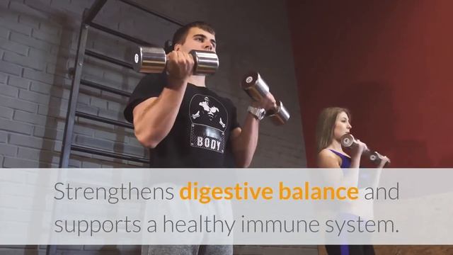 the best gut healing diet and supplements 03 смотреть онлайн