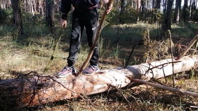 2 смотреть онлайн