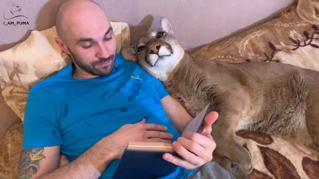 Puma Messi prevents Sasha from reading a book смотреть онлайн
