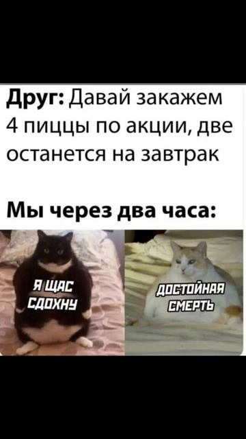 мем смотреть онлайн