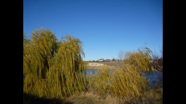 Песня Сергея Ларина «Дно» смотреть онлайн