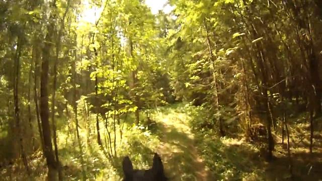 2016-06-05 Рысистая тренировка в лесу с прохождение большой лужи часть 2 смотреть онлайн