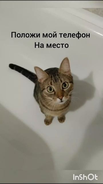 Рил моя заставка смотреть онлайн