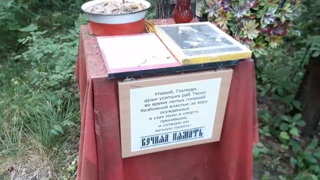 Ржевский полигон (19.07.2021). смотреть онлайн