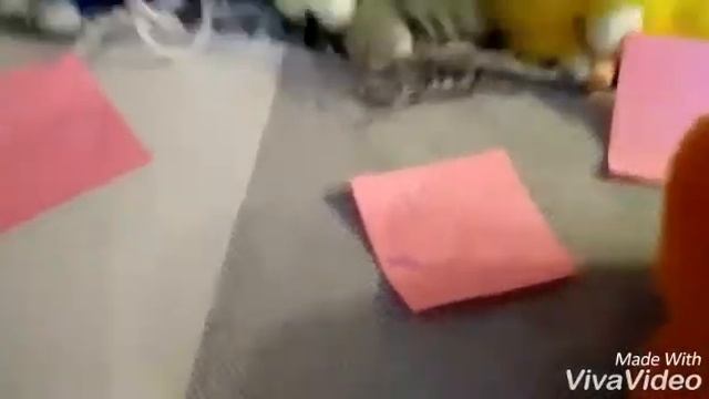 ИЗО у кроликов смотреть онлайн