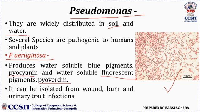 B.Sc.(Sem-1) Microbiology Prac-5 - Study Of Permanent Slides Of Bacteria, Fungi, Algae And Protozoa