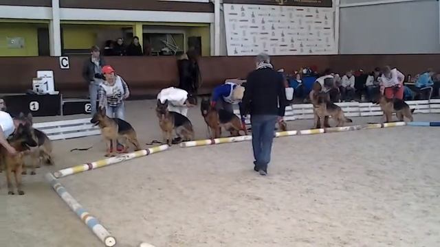 Гран При 2015 2 день смотреть онлайн