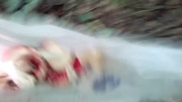 В лесу собираем грибы смотреть онлайн