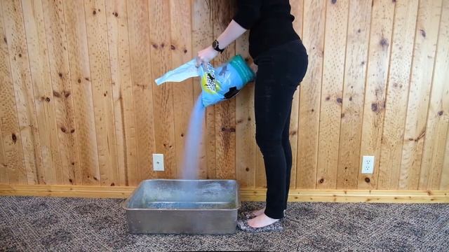 Just the Crystals Silica Gel Litter Review (We Tried It) смотреть онлайн
