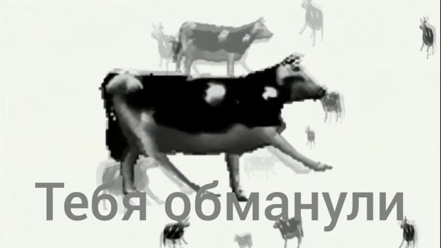 Вся правда о Дэн19к