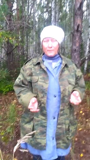 Сколько грибов в лесу?