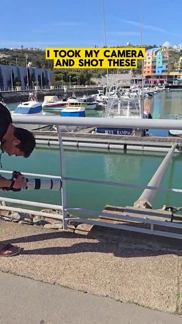 Photographing Swallows resting on a rope 📸 смотреть онлайн