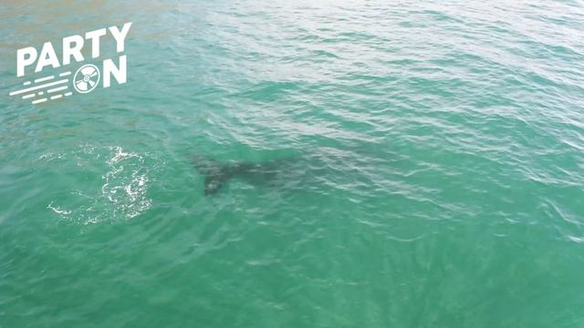 Электро Хаус!!!! Супер музыка для души!!! смотреть онлайн