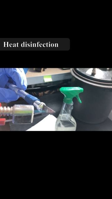 Mushroom Science Project - Growing fungi is fun! смотреть онлайн