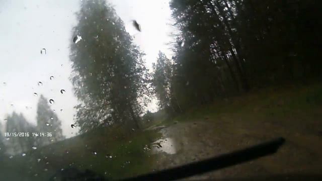 По грибы. смотреть онлайн