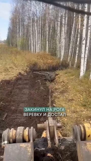 СПАС ЛОСЯ ИЗ «ЯМЫ СМЕРТИ» смотреть онлайн