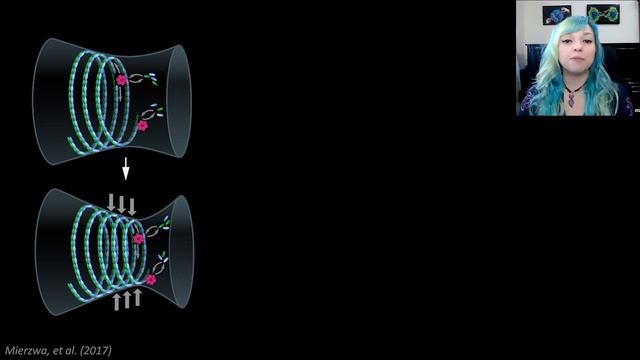 2022 Harmony - Beata Mierzwa смотреть онлайн