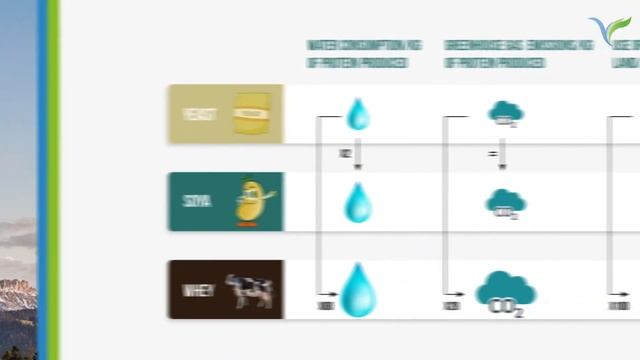 Yeast protein for bakery application смотреть онлайн