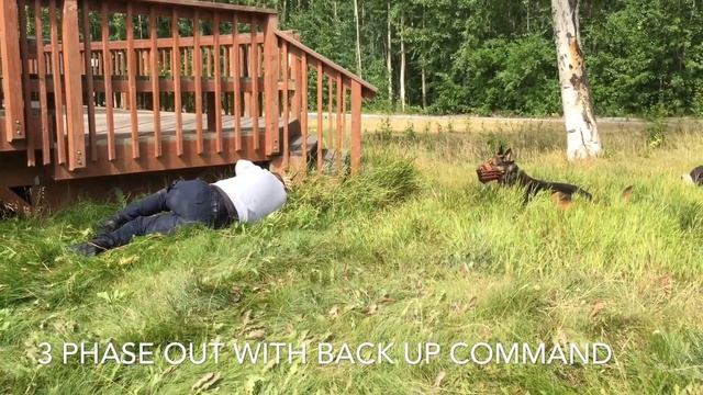 prone detain muzzle смотреть онлайн