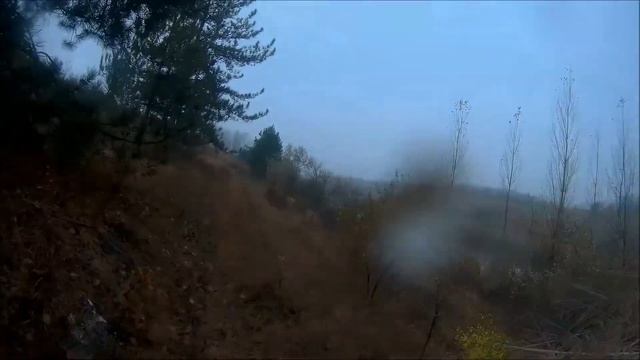 охота на фазана! 3.11.2018г смотреть онлайн