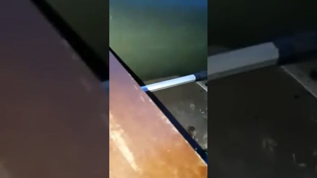 Поймали чупакабру смотреть онлайн