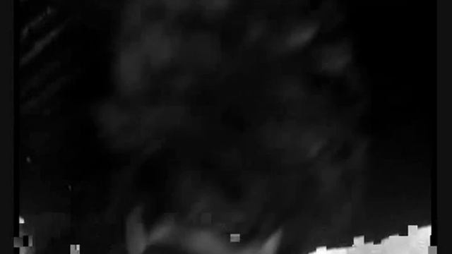 В ПОИСКАХ ИСТИНЫ Principle Of Hospitality LOOKING  For TRUTH