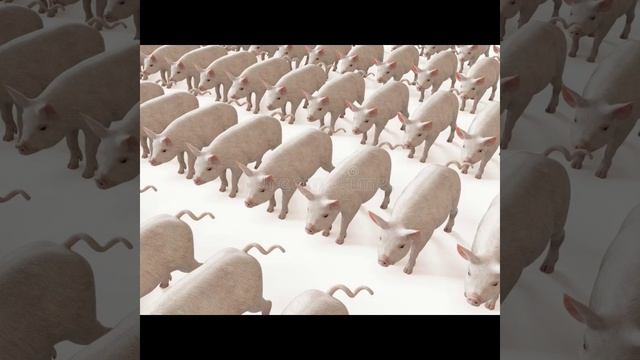 клшники собирают свою армию против нас смотреть онлайн