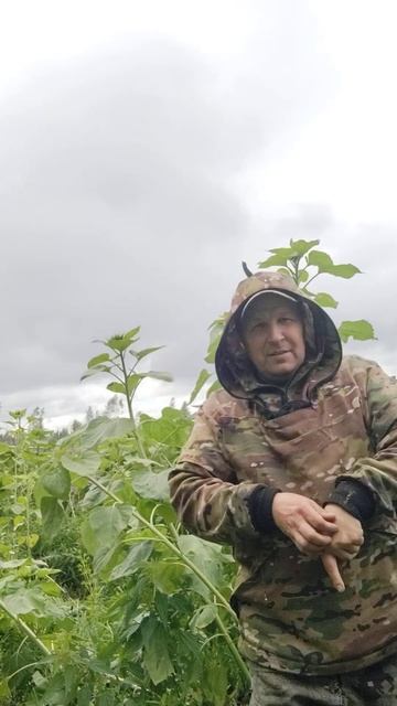 28 июля 2024 г. смотреть онлайн