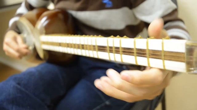 Solo Tar- Bayat Tork- Pouya Motamedi смотреть онлайн