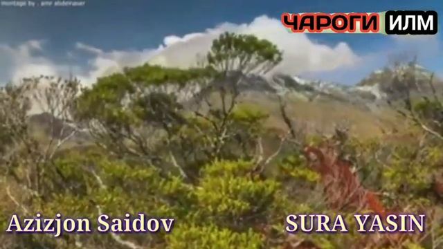 3-Мубини сураи ЁСИН,, 3-Mubini Surai YOSIN 🎙️Azizjon Saidov