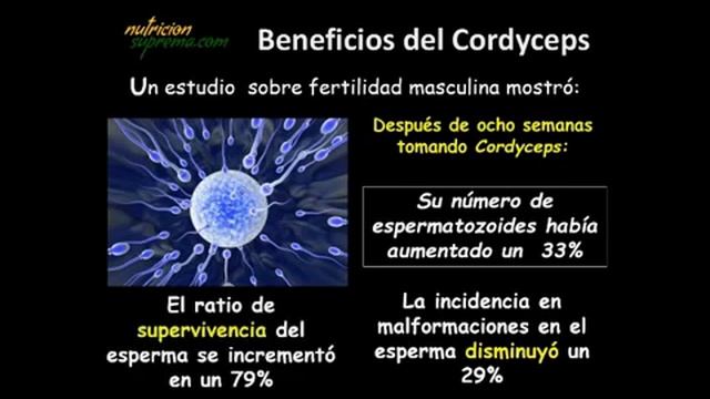 Cordyceps. Viagra natural. смотреть онлайн