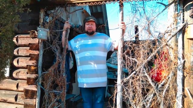 Гросс-Фитнес. Недельный отчёт. смотреть онлайн