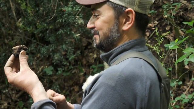 Truffle hunting in Tuscany смотреть онлайн