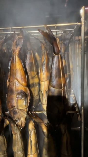 Терпуг Г/К смотреть онлайн