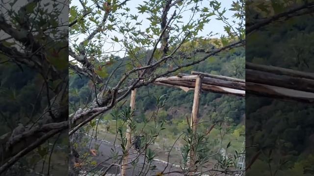 Hesperus gathering 2022 🇬🇷🦌 Silverdaze🎼💪🖤 смотреть онлайн