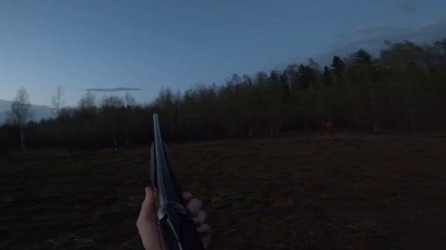 Открытие весенней охоты на вальдшнепа. Попробуем добыть гуся. Тяга на вальдшнепа. Лес, отдых смотреть онлайн