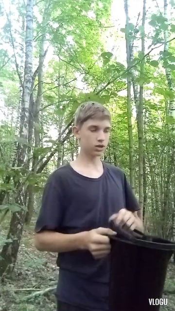 Продаю грибы #юмор